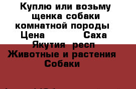 Куплю или возьму щенка собаки комнатной породы › Цена ­ 6 000 - Саха (Якутия) респ. Животные и растения » Собаки   